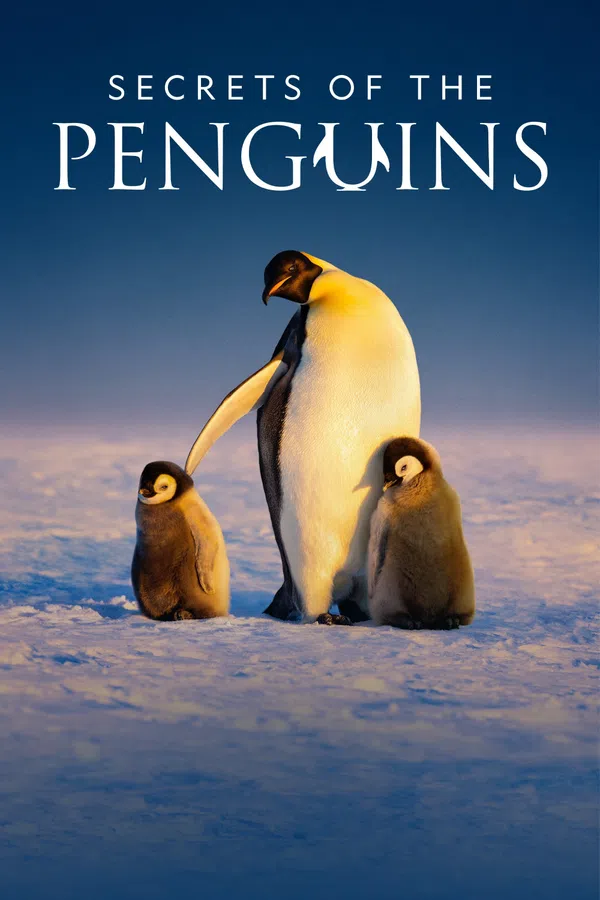 Secrets of the Penguins